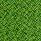 Preview: Baumwolle Dotty Dunkelgrün/Kiwi by Swafing